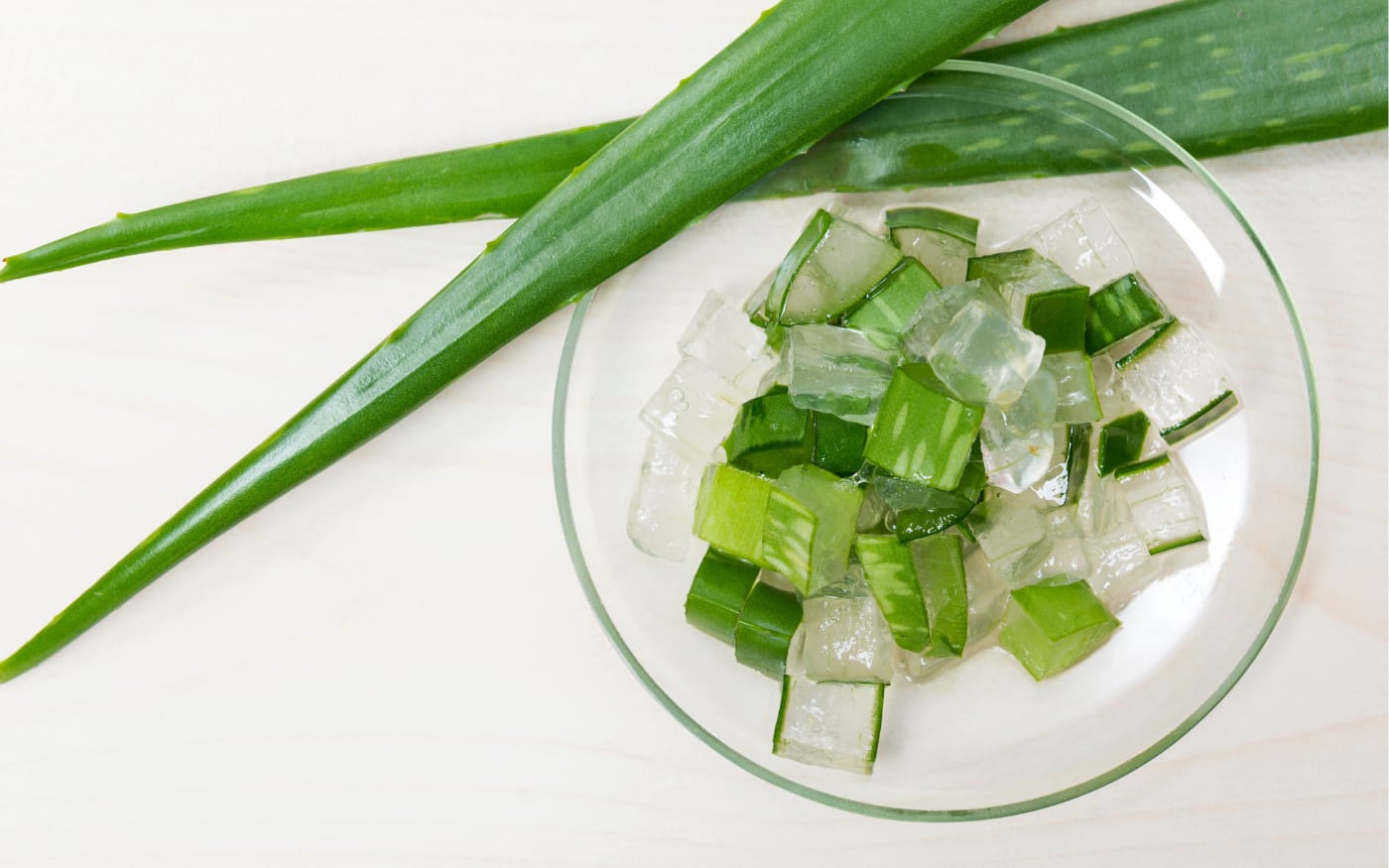 Read more about the article The Ultimate Guide to Extracting Aloe Plant Gel