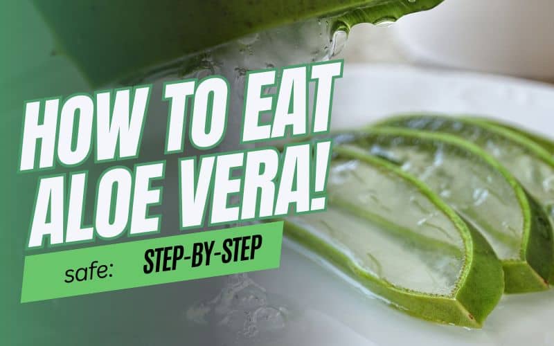 You are currently viewing Aloe Vera Eating Guide: Simple and Healthy Steps