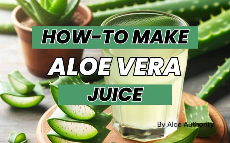 You are currently viewing Easy Aloe Vera Juice Recipe – Fresh & Healthy