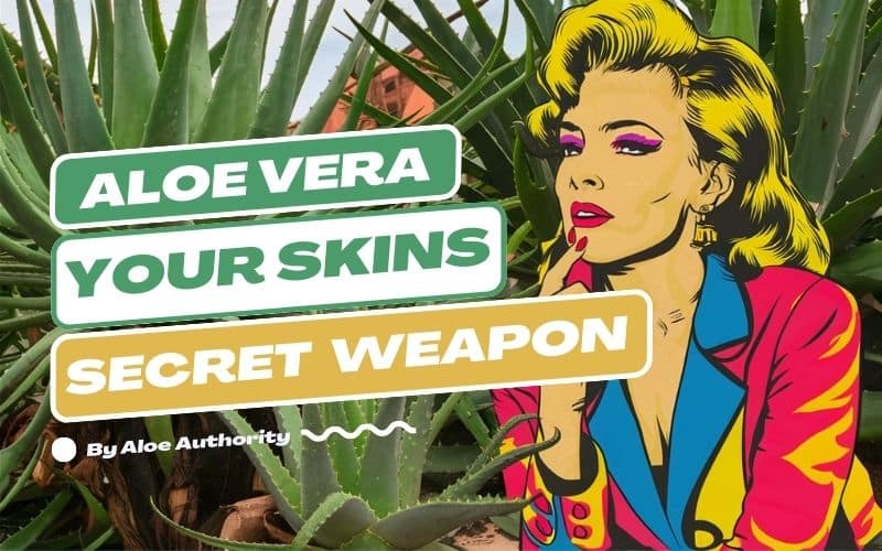 Read more about the article Aloe Vera: Your Skin’s Secret Weapon for a Naturally Radiant Glow