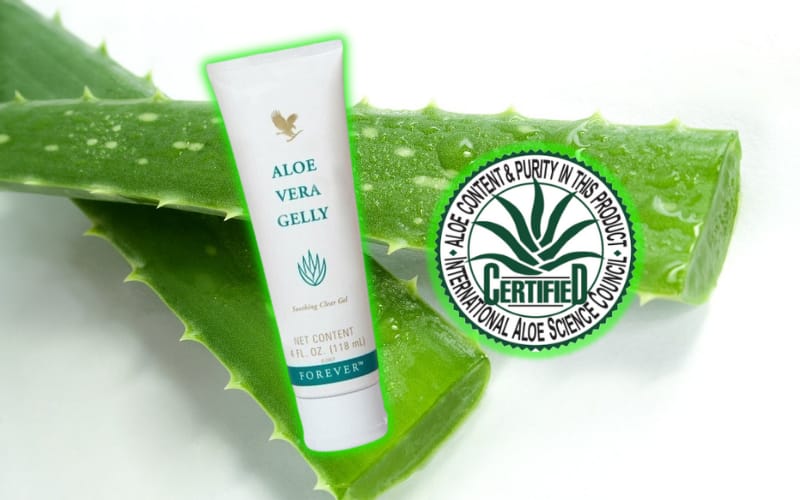 Read more about the article Benefits of Organic Aloe Vera Gel: Why You Should Make the Switch