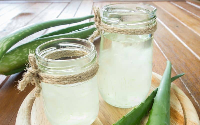 Read more about the article Aloe Gel Juice: A Refreshing and Healing Beverage