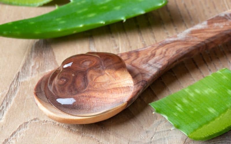 Read more about the article Aloe for Healing: Nature’s Remedy for Common Ailments