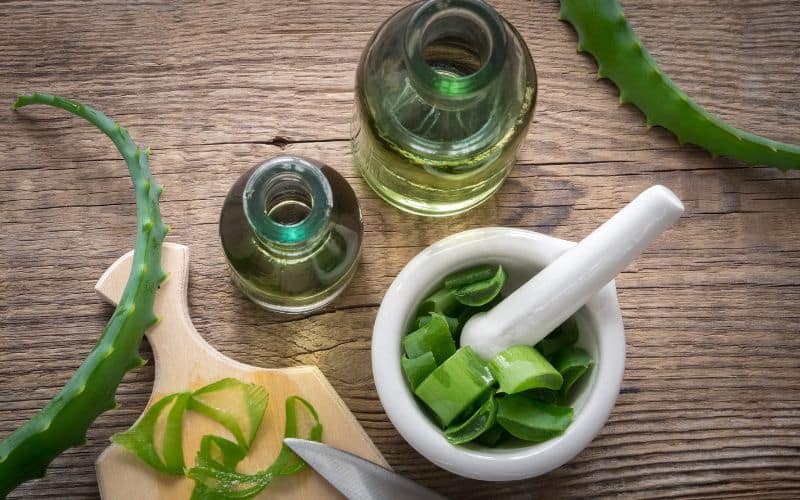 Read more about the article Top 10 Aloe Oil Benefits Finally Revealed